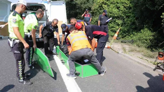 Tokat'tan, İstanbul'a giden aile kazada yok oluyordu