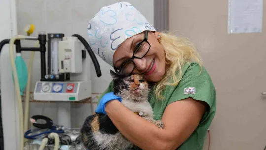 Trafik kazasında ağır yaralanan kedi, ameliyatla hayata döndürüldü