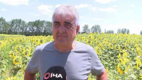 Trakya'da 'çayır tırtılı' alarmı