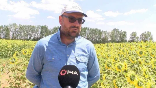 Trakya'da 'çayır tırtılı' alarmı