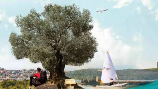 Travel Turkey İzmir'de yeniden Ayvalık rüzgarı esecek