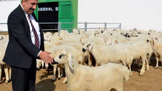 TÜDKİYEB Genel Başkanı Çelik: 'Türkiye'nin yüzyılında küçükbaşı atağa geçirecek hamleler yapılmalı'