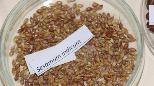 Türk tarımının geleceği güvence altına alınıyor