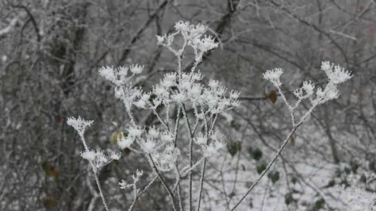 Türkiye-Bulgaristan sınırı beyaza büründü