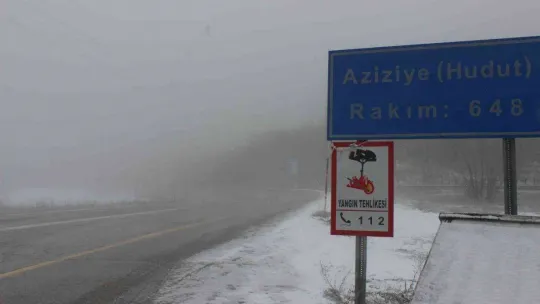 Türkiye-Bulgaristan sınırı beyaza büründü