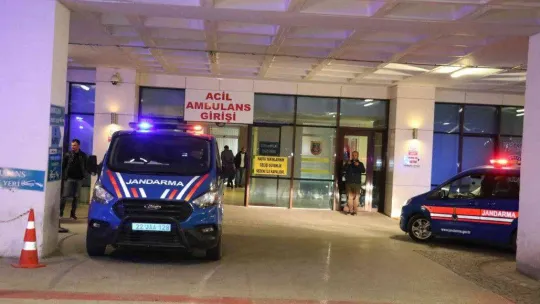 Türkiye-Bulgaristan sınırında polisi öldüren şüphelilerden 1'i tutuklandı