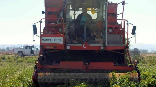 Türkiye'de ilk kez Bursa'da denendi, işçi maliyetleri yüzde 90 düştü