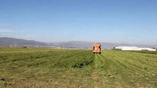 Türkiye'de ilk kez Bursa'da denendi, işçi maliyetleri yüzde 90 düştü