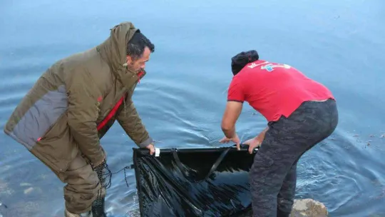 Türkiye'nin en büyük sazanı Bilecik'te yakalandı