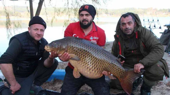 Türkiye'nin en büyük sazanı Bilecik'te yakalandı