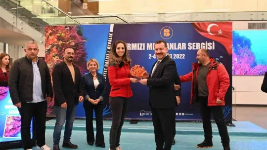 Türkiye'nin en büyük su altı fotoğraf sergisi Balıkesir'de