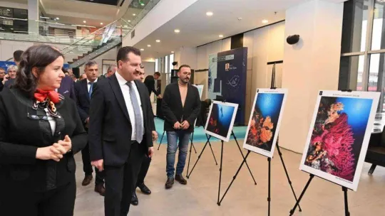 Türkiye'nin en büyük su altı fotoğraf sergisi Balıkesir'de