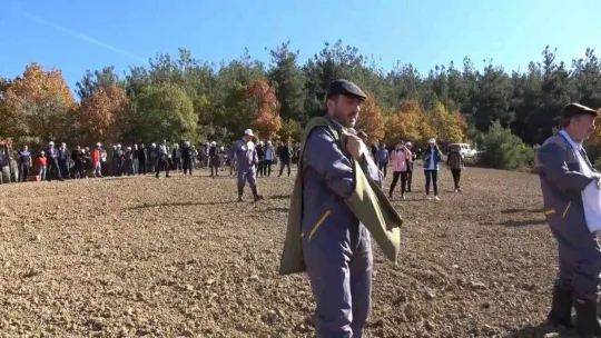 Türkiye'nin en ucuz ekmeği artık bu tarladan çıkacak