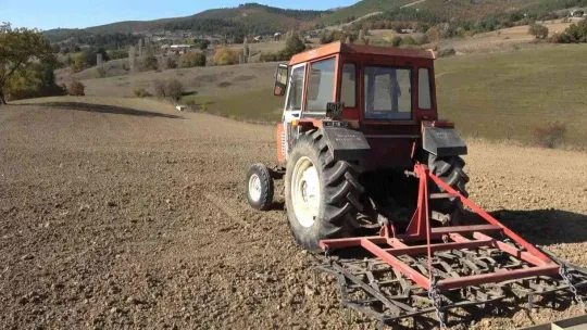 Türkiye'nin en ucuz ekmeği artık bu tarladan çıkacak