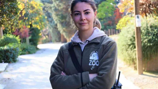 Türkiye'nin ilk armadillo yavrusu 3 buçuk ay önce dünyaya gözlerini açtı