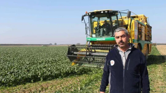 Türkiye'nin ıspanak ihtiyacının dörtte birini Bursa karşılıyor