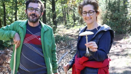 Türkiye'nin mantar avcıları Bursa'da buluştu