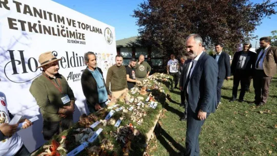 Türkiye'nin mantar avcıları Bursa'da buluştu