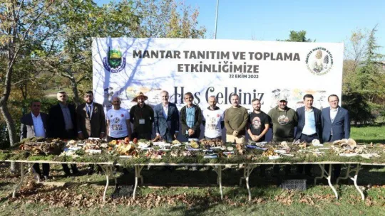 Türkiye'nin mantar avcıları Bursa'da buluştu