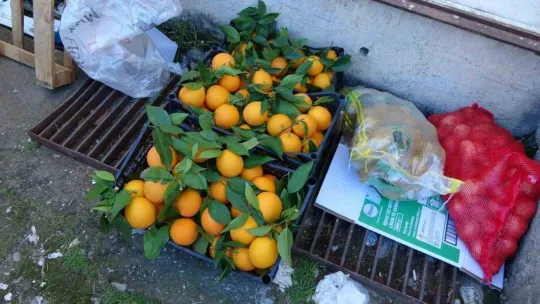 Türkiye'nin yangında seferber olduğu Manavgat, depremzedeler için tek yürek