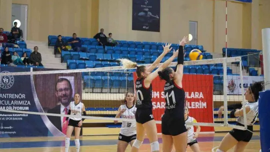 TVF Kadınlar 2. Lig