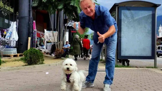 Uçma meraklısı köpek uçmadığı zaman strese giriyor