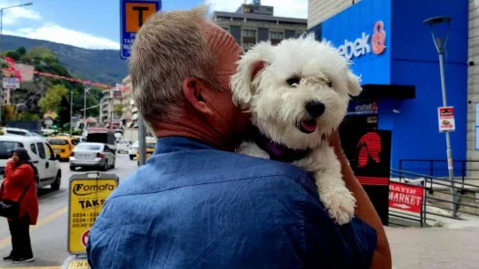 Uçma meraklısı köpek uçmadığı zaman strese giriyor
