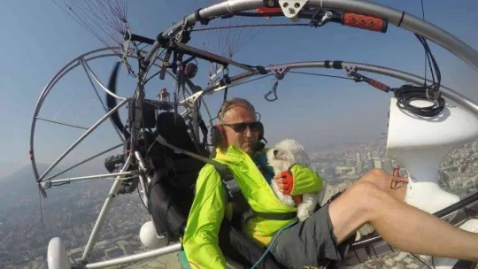 Uçma meraklısı köpek uçmadığı zaman strese giriyor