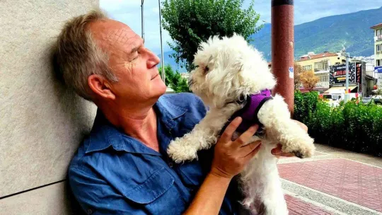 Uçma meraklısı köpek uçmadığı zaman strese giriyor