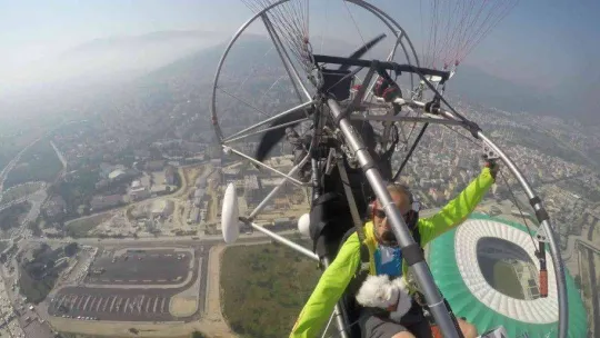 Uçma meraklısı köpek uçmadığı zaman strese giriyor