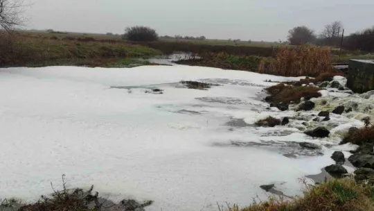 Uluabat Gölü'ne akan derelerde 'beyaz köpük' paniği