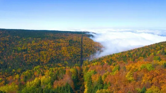 Uludağ'da sonbahar güzelliği havadan görüntülendi