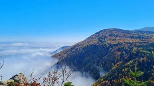 Uludağ'da sonbahar güzelliği havadan görüntülendi