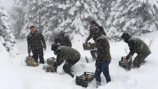 Uludağ Milli Parkı'nda yaban hayvanları unutulmadı