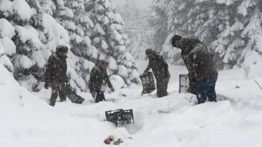 Uludağ Milli Parkı'nda yaban hayvanları unutulmadı