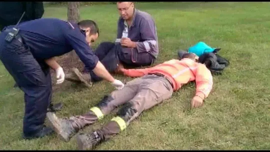 Ümraniye'de peyzaj çalışması yapan işçilerin aracına otomobil çarptı: 2 yaralı