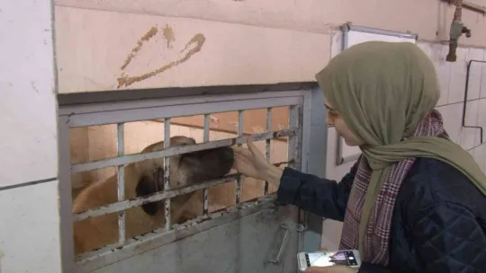 Ümraniyeli gençlerden hayvan bakımevine ziyaret