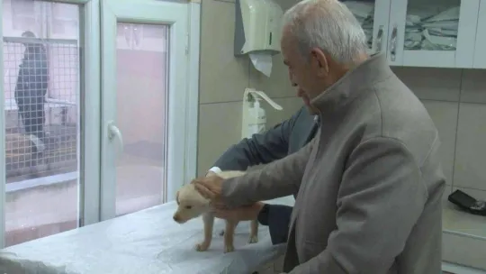 Ümraniyeli gençlerden hayvan bakımevine ziyaret