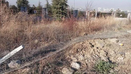 Üniversiteli genç kız trafik kazasında hayatını kaybetti