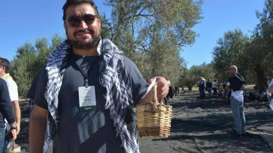 Ünlü sanatçılarla gazeteci ve gurmelerden zeytin hasatı