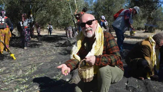 Ünlü sanatçılarla gazeteci ve gurmelerden zeytin hasatı
