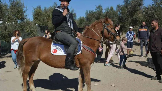 Ünlü sanatçılarla gazeteci ve gurmelerden zeytin hasatı