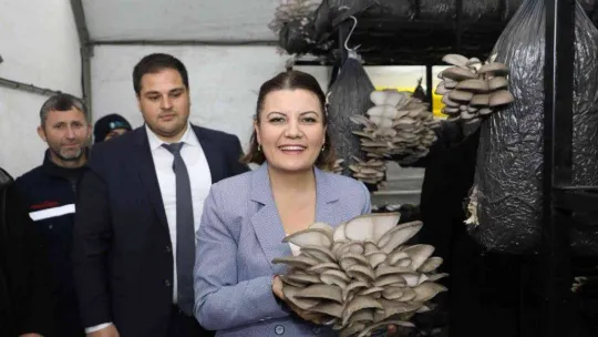 Üretilen istiridye mantarı vatandaşlara dağıtılacak