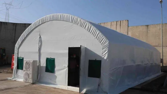 Üretilen istiridye mantarı vatandaşlara dağıtılacak