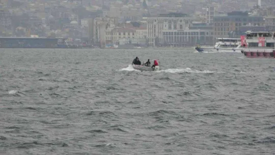 Üsküdar'da iki geminin arasında sıkışan yunus öldü