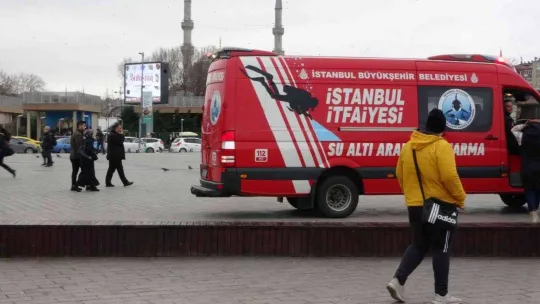 Üsküdar'da iki geminin arasında sıkışan yunus öldü