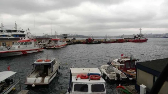 Üsküdar'da iki geminin arasında sıkışan yunus öldü