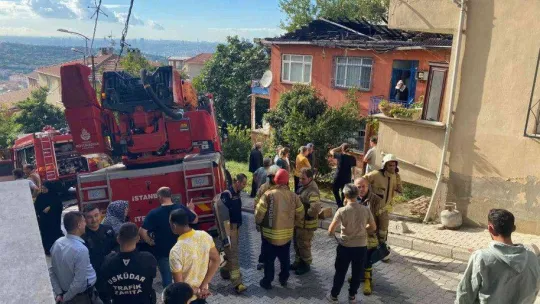 Üsküdar'da yangının ortasında kalan yavru kedileri itfaiye kurtardı