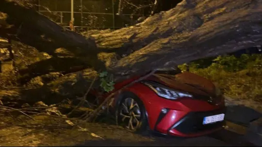 Üsküdar'da yarım asırlık akasya ağacı 2 otomobilin üzerine devrildi