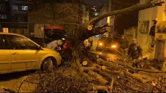 Üsküdar'da yarım asırlık akasya ağacı 2 otomobilin üzerine devrildi